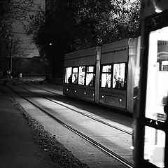 фото "Трамваи"