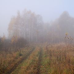 фото "Дорога в осень"