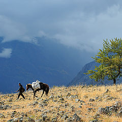 фото "...Алтайские зарисовки..."