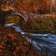 photo "Foley's Bridge"