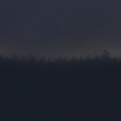 photo "Ночь,зима,сильный туман,скоро рассвет."
