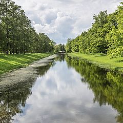 фото "Перспектива"