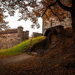 фото "Остров Замковый (Выборг)"