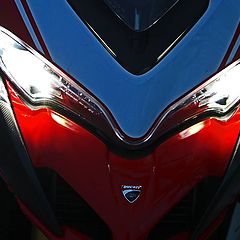 фото "Face Of Ducati"