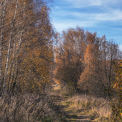 фото "Бабье лето"