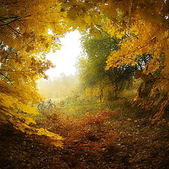 фото "Осенний портал"