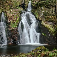 фото "Водопад Триберг (Triberger Waterfall)"