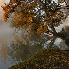 photo "fisherman"