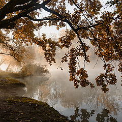 photo "Morning landscape photographer"