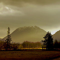 фото "After the rain"