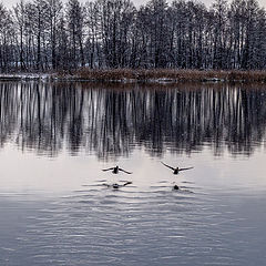 фото "Пейзаж"