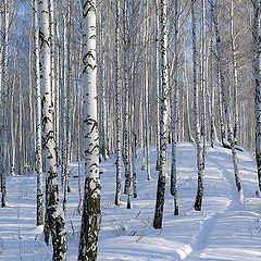 фото "Зима в Уральских горах"