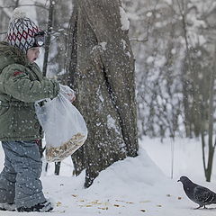 фото "Диалог"