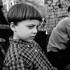 фото "серьезный разговор"