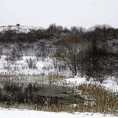 фото "первый снег"