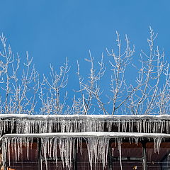 фото "Вверх и вниз"