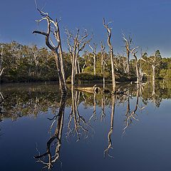 photo "Margaret river..."