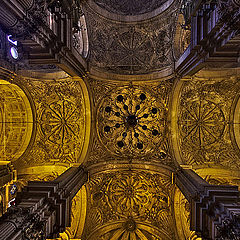 фото "Malaga Cathedral"