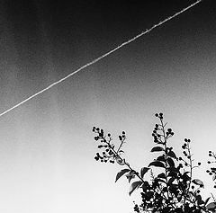 photo "Sky Line"
