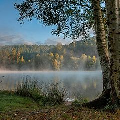 фото "Туман рассеивается"