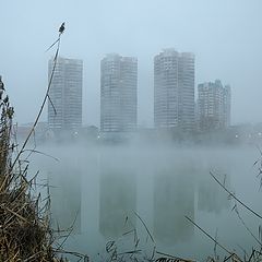 фото "С Новым Годом, Краснодар!"