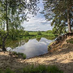 фото "Подмытый берег Шерны"