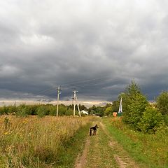 фото "Дачные просторы"