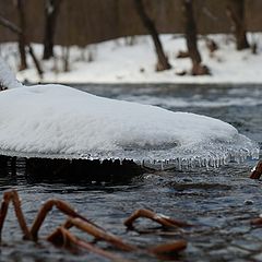 фото "Однажды в речке."