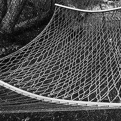 фото "Hammock"