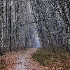 фото "Дорожка в осень"