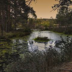 фото "Пристанище водяного"