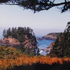 photo "Trinidad Beach California"