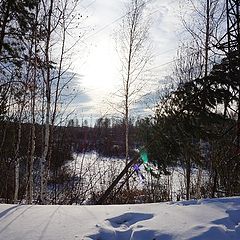 фото "Луч"