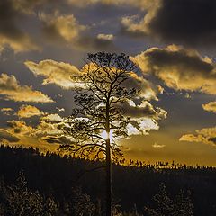 фото "Закат"