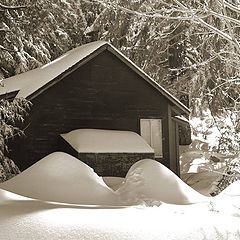 photo "Sepia Cabin"