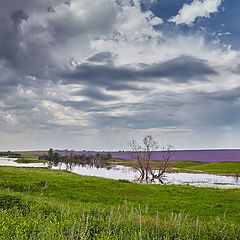 фото "Про лето"