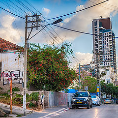 фото "Tel-Aviv 2605"