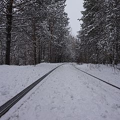 фото "Путь"