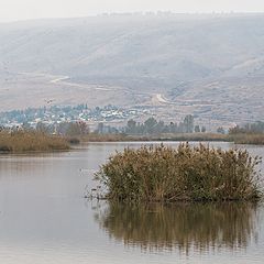 фото "Умиротворение"