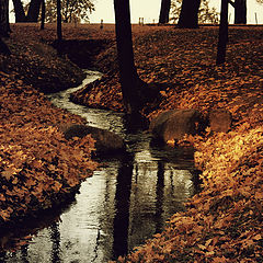 photo "чёрная вода"