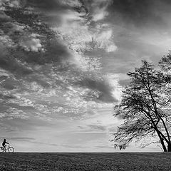 photo "Der Radfahrer"