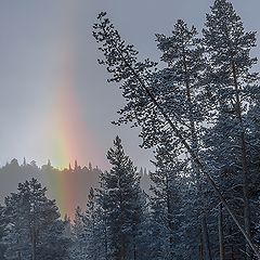photo "Frost phenomenon"
