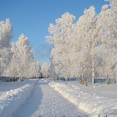 photo "Зима в деревне"