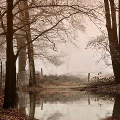 photo "***"