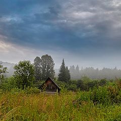 фото "Забытая богом и людьми"