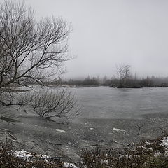 фото "Унылая картина"