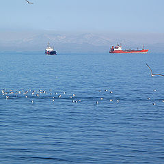 фото "Весеннее море."