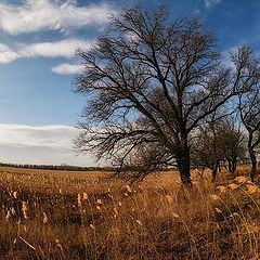 фото "Весна"