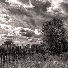 фото "Про деревню в черно-белых тонах..."