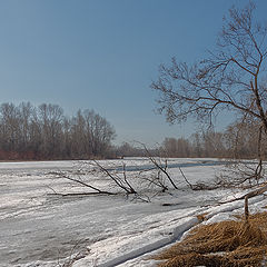 фото "Март"